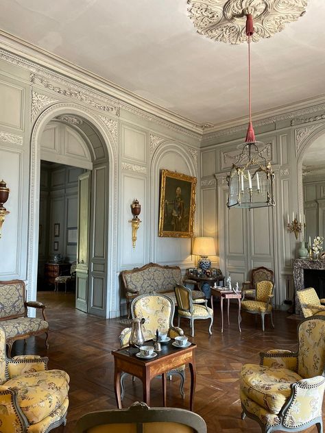 Chateau de Montgeoffroy (Maze-Milon) - All You Need to Know BEFORE You Go French Chateau Interiors, Rich Interior, French Salon, Chateau Hotel, House Vibes, Castle Aesthetic, Stately Homes, French Style Furniture, Chateau France