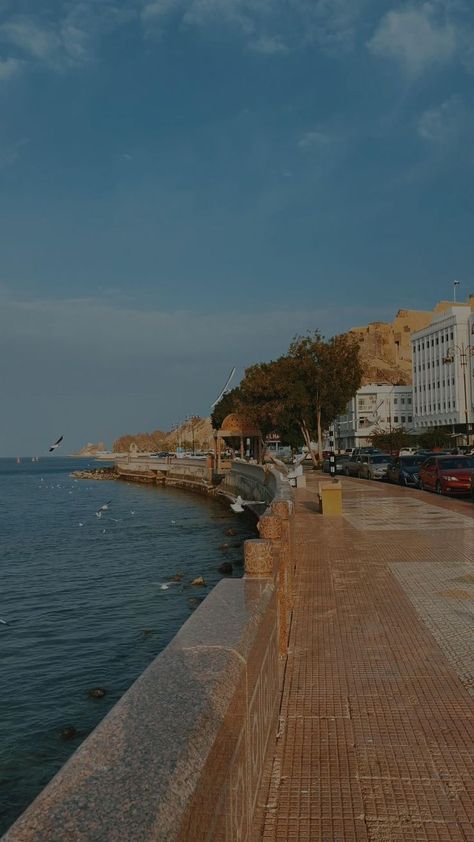 Mutrah Corniche, Oman [Video] | Travel photography, Oman travel, Walt disney parks Muscat Oman Videos, Oman Video, Oman Beach, Muscat City, Sultan Oman, Beautiful Beaches Paradise, Video Travel, Happy National Day, Oman Travel