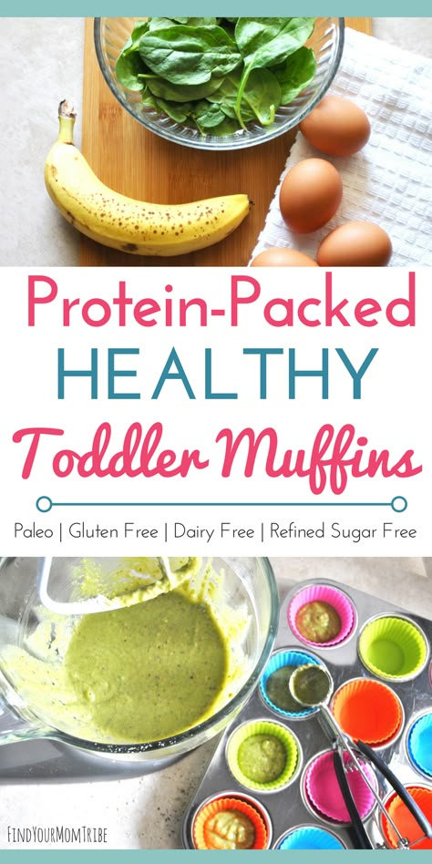 Looking for a healthy and delicious snack idea for toddlers or kids? These protein-packed muffins are easy to make AND have hidden veggies for picky eaters! These healthy muffins are also paleo, gluten free, dairy free, and refined sugar free. Click for the recipe! | healthy snacks for kids | healthy toddler snacks | healthy breakfast ideas for kids | finger foods | healthy breakfast ideas #paleo #glutenfree #toddlersnacks Healthy Toddler Muffins, Toddler Muffins, Toddler Picky Eater, Finger Foods For Kids, Office Food, Veggie Muffins, Modern Honey, Toddler Food Ideas, Healthy Toddler Snacks