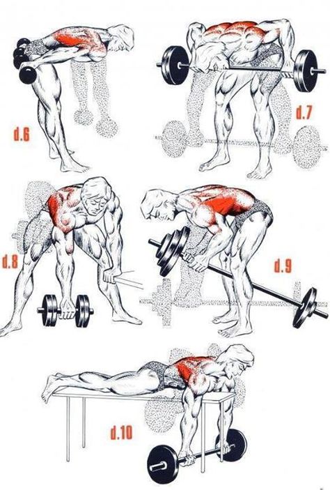 Ejercicios para el Gym Lichaamsgewicht Training, Latihan Dada, Muscle Abdominal, Weight Training Workouts, Trening Fitness, Workout Chart, Chest Workouts, Trening Abs, Bodybuilding Training