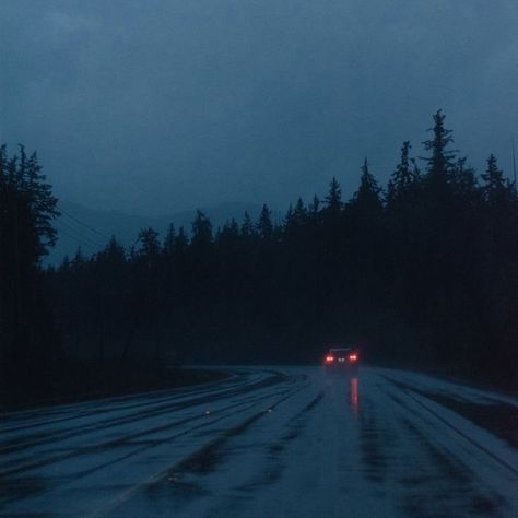 Rain Street, 숲 사진, Aesthetic Rain, Dark Forest Aesthetic, Night Rain, Dark Grunge, Night Forest, Forest Road, Night Aesthetic