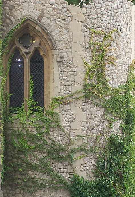 Tower of London window casment Castle Windows, Medieval Window, Castle Window, Gothic Windows, Fairytale Aesthetic, Castle Aesthetic, Castle Tower, Church Windows, Casement Windows