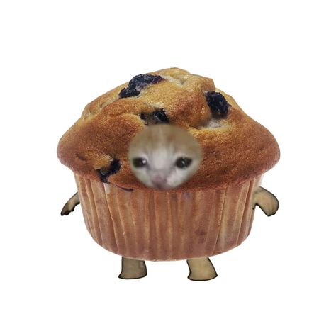 🥵 Banana Cat Pfp, Cursed Cat Pfp, Mcdonalds Nuggets, Muffin Cat, Goofy Ahh Cats, Crying Cat Costume, Cupcake Cat, Cat Silly, Cursed Cat