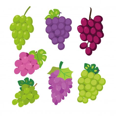 Grapes Illustration Design, Grape Drawing Simple, Grape Vector, Grape Illustration, Kindergarten Decor, Inktober Inspiration, Ct Logo, Fruit Clipart, Kids Work