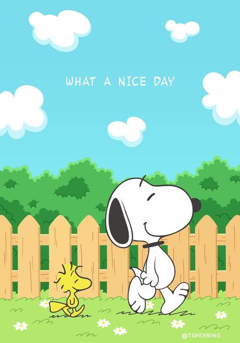 Snoopy Friday, Wallpaper Snoopy, Charlie Brown Wallpaper, Peanuts Wallpaper, Good Morning Snoopy, Woodstock Snoopy, Peanuts Charlie Brown Snoopy, Snoopy Comics, Snoopy Funny