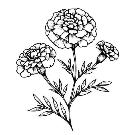 Marigold Stencil Tattoo, October Birth Flower Tattoo Marigold And Cosmos, Ornamental Vase Tattoo, Marigold Tattoo Black And White, Mum Flowers Tattoo, Marigold Flower Drawing, Marigold Drawing, Flower Tattoo Flash, Marigold Flower Tattoo