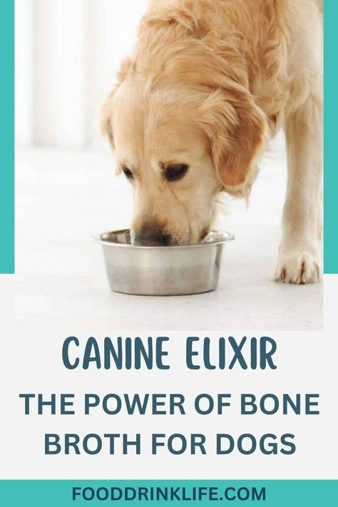 Elixir for dogs infused with bone broth that harnesses its power. Bone Broth For Dogs, Broth For Dogs, Beef Marrow Bones, Homemade Bone Broth, Liver Detoxification, Gut Healing, Dog Eating, Bone Broth, Dog Health