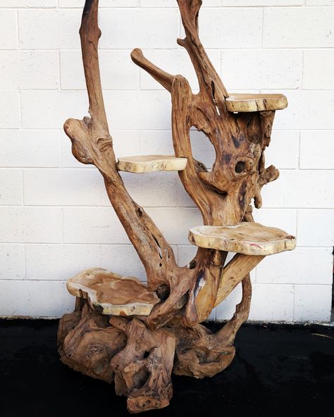 Tree Trunk Cat Tree, Drift Wood Cat Tree, Boho Cat Tree, Custom Cat Trees, Katt Grejer, Wood Log Crafts, Wooden Cat Tree, Cat Tree House, Diy Cat Tree