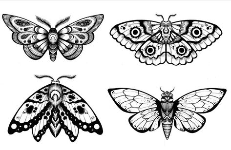 Types Of Moths, Moth Tattoo Design, Photography Tattoo, Tattoo Apprenticeship, Insect Tattoo, Tattoo Photography, Tattoos Geometric, Moth Tattoo, Spooky Tattoos