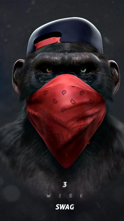 Download Monkey Swag TALK wallpaper by anddyy00 now. Browse millions of popular monkey wallpapers and ringtones on Zedge and personalize your phone to suit you. Browse our content now and free your phone Frame, Canvas, Wall, Red, Black, Art