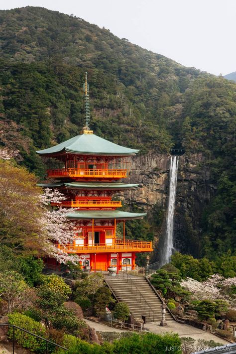 Discover Nachi Falls, Japan's tallest waterfall, featuring breathtaking views and a deep spiritual heritage, and explore its historical allure. Wakayama, Dream Trip, Spiritual Experience, Visit Japan, Beautiful Waterfalls, Pilgrimage, Heritage Site, Japan Travel, World Heritage Sites