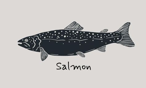 Salmon Tattoo Ideas, Sockeye Salmon Tattoo, Salmon Outline, Salmon Sketch, Salmon Illustration, Salmon Drawing Illustration, Salmon Drawing, Salmon Tattoo, Salmon Fish