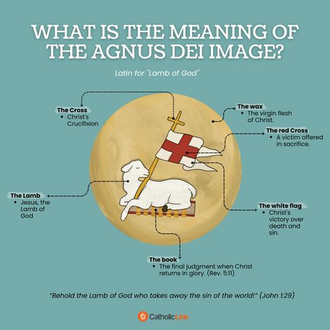 What Is The Meaning Of The Agnus Dei Image? Thomas Aquinas Quotes, Jesus Facts, Kubler Ross, Catholic Beliefs, Novena Prayers, Jesus Mary And Joseph, Lamb Of God, Agnus Dei, Have Mercy