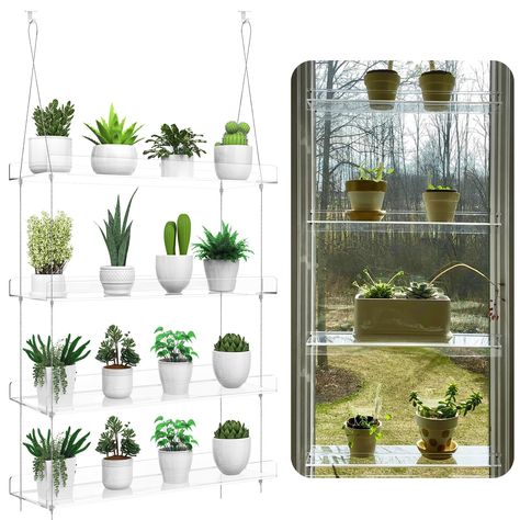 PRICES MAY VARY. HIGH QUALITY: Made with transparent acrylic material, The transparent design allows natural light to filter through, promoting healthy plant growth. Your plants will thrive in the optimal conditions provided by our hanging shelves. ADJUST HEIGHT FREELY: Size:16" L x 6" W x1" Deep, Layer Cable is 60’’. The hanging window shelves could hold about 20 pounds for each tier nicely. so you can display a variety of plants of different sizes. You can easily adjust the spacing by pressing Plant Stand Shelf, Window Plant Shelf, Shelf For Kitchen, Succulent Display, Vertical Wall Planters, Stand Shelf, Plants Pots, Window Plants, Window Shelves