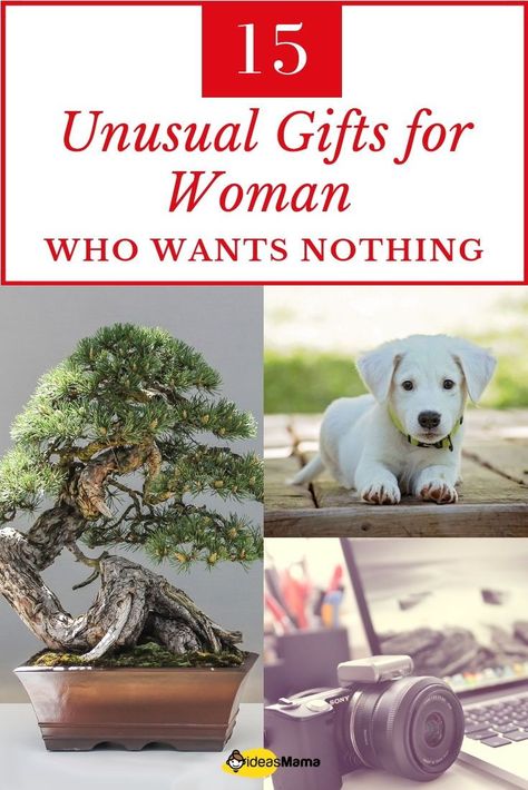 15 unusual gifts for woman who wants nothing that they will cherish. As it is tough reading the mind and picking a gift. Here is a list of awesome gift ideas for woman who have everything and wants nothing.  #GiftsForWomanWhoWantsNothing #GiftsForWoman #GiftIdeas Unusual Gifts For Women, Graduation Gifts For Him, Christmas Gifts For Wife, Relationship Gifts, Unique Gifts For Women, Christmas Gifts For Him, Romantic Gifts, Unusual Gifts, Trending Gifts