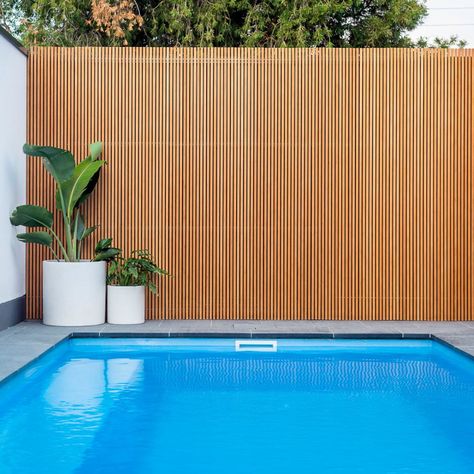 Pool Certification. Quick, modern and easy to install. The House of Bamboo has the solution. 

Click here to discover the possibilities. 

#houseofbamboo #poolcertification #fencing Timber Pool Fence Ideas Australia, Bamboo Pool Fence, Fencing Ideas Australia, Pool Fencing Ideas Australia, Pool Fence Ideas Australia, Poolside Landscaping, Pool Fencing Landscaping, Outdoor Fence Decor, Fence Around Pool