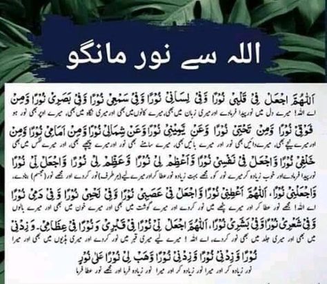 Dua E Noor Full, Dua Noor, Dua E Noor, Dua Images, Qurani Dua, Islamic Prayers, Surah Yasin, Islamic Duas, Darood Pak