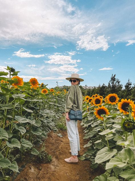 Istanbul Turkey Travel, Turkey Travel Guide, Farm Day, Farm Clothes, Fairy Home, Nature Photoshoot, Pumpkin Farm, Sunflower Field, Fall Activities