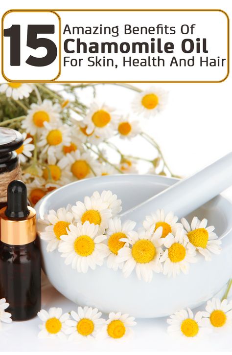 15 Amazing Benefits Of Chamomile Oil For Skin, Health And Hair Benefits Of Chamomile, Essential Oils For Asthma, Natural Asthma Remedies, Oil For Skin, Ayurvedic Remedies, Chamomile Oil, Skin Remedies, Natural Treatments, Oils For Skin