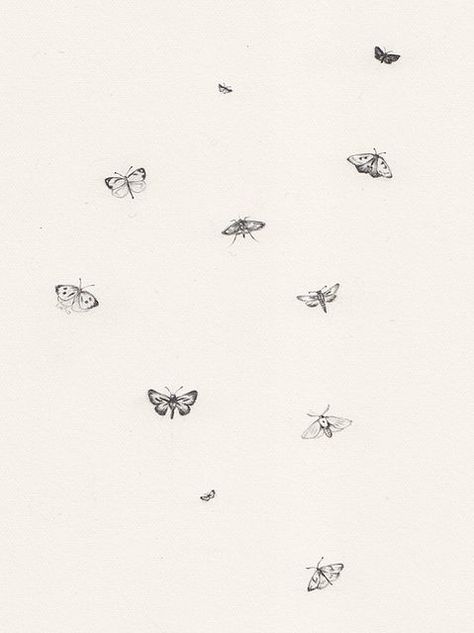 Tattoo Papillon, Luna Moth Tattoo, Simple Draw, Borboleta Tattoo, Bug Tattoo, Handpoke Tattoo, Moth Tattoo, Female Tattoo, Tat Ideas