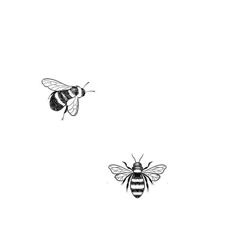 3 Bee Tattoo, Bumble Bee Tattoo Outline, Fineline Bumblebee Tattoo, Honey Bee Tattoo Ideas Small, Bee Tiny Tattoo, Bumble Bee Tattoos For Women, Small Bee Drawing, Fine Line Bee Tattoo Simple, Bee Present Tattoo