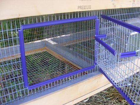 hay rack made from cage wire Homemade Rabbit Cage, Diy Rabbit Hay Rack, Stackable Rabbit Cages, Free Roam Rabbit Set Up, Bunny Grid Cage, Show Rabbit Cages, Hay Rack For Rabbits, Wire Rabbit Cages, Wire Doors