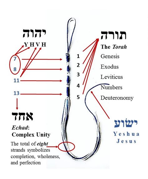 Hebrew Learning, Jewish Beliefs, Hebrew Language Words, Hebrew Vocabulary, Torah Study, Messianic Judaism, Messianic Jewish, Hebrew Lessons, Hebrew Roots