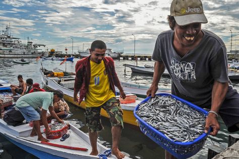 Fishing is integral to millions of Indonesians’ livelihoods and identities, with an estimated 2.5 million households involved in small-scale (non-industrial) fishing and aquaculture. Small-scale fishing includes a wide variety of activities, from subsistence harvesting to fish processing, and is performed by individuals, informal fishers’ groups, and even formal private sector businesses. But despite Indonesia’s rich […] Araling Panlipunan Design, Sustainable Development Projects, Kuala Selangor, North Sulawesi, South Sulawesi, Sustainable Fishing, Biodiversity Conservation, Famous Composers, East Java