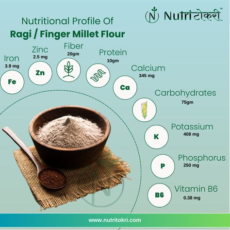 ragi flour composition and nutritional value Ragi Benefits, Ibs Snacks, Millet Benefits, Ragi Flour, Finger Millet, Millet Flour, Temple Pictures, Healthy Digestive System, Gluten Sensitivity