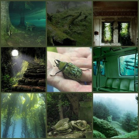 Forest weirdcore moodboard! #moodboard #moodboardaesthetic #forestweirdcore #forest #beetle #green #water Forest Moodboard, Weirdcore Moodboard, Mood Board Design, Koi, Mood Boards, Mood Board, Forest, Water