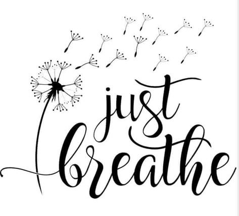 Just Breathe Tattoos, Calm Breathing, Breathe Tattoos, Idee Cricut, Butterfly Decal, Machine Photo, Motivational Svg, Silhouette Vinyl, Vinyl Cut