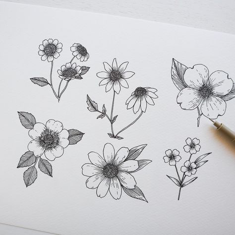 Feverfew, chamomile, dogwood, flax, Lemon Queen and wild rose. All these flowers drawn with the same few simple steps and shapes, just modified a small bit to make each bloom uniquely different. Draw these six blooms along with me on YouTube today! . . . . #chamomile #wildrose #flax #flowers #floralpursuits #drawingtutorial #howtodraw #floraldrawing #sketchbookdrawing #drawingdaily #inkedgirls #inkdrawing #modernflorals Flowers Drawn, Flax Flowers, Floral Drawing, Wild Rose, Sketchbook Drawing, Wild Roses, Inked Girls, Ink Drawing, Flower Drawing