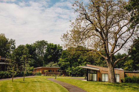 There’s something truly beautiful about exchanging vows in nature’s presence and the UK is blessed with some of the most stunning woodland wedding venues, as... The post Bekki & Kevin’s Rustic UK Woodland Wedding appeared first on Wedinspire. Woodland Wedding Venues, Manor Estate, Georgian Manor, Wedding Planning Guide, Wedding Breakfast, Ideal Wedding, Woodland Wedding, Colour Schemes, Plan Your Wedding