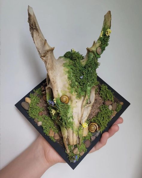 Deer Skull With Moss, Goth Taxidermy Decor, Crystal Deer Skull, Deer Skull Decor, Gothic Taxidermy, Deer Skull Crystal, Culture Vulture, Deer Skull Art, Animal Skull