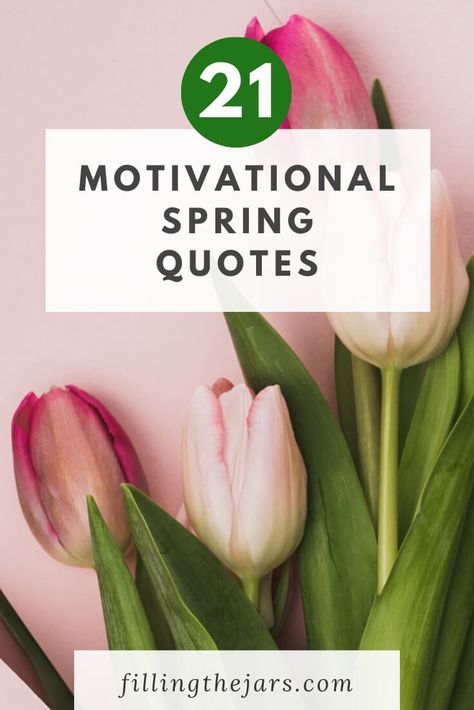 These 21 spring motivational quotes are the perfect inspiration for living your best season. From spring reflection quotes to positive spring quotes, you’ll appreciate all the possibilities of the energy spring brings with it each year. #quotes #motivation #inspiration May Inspirational Quotes, Springtime Quotes Inspiration, Spring Motivational Quotes, May Day Quotes Inspiration, Christian Spring Quotes, April Motivational Quotes, Quote About Spring, May Quotes Inspirational, Spring Motivation Quotes