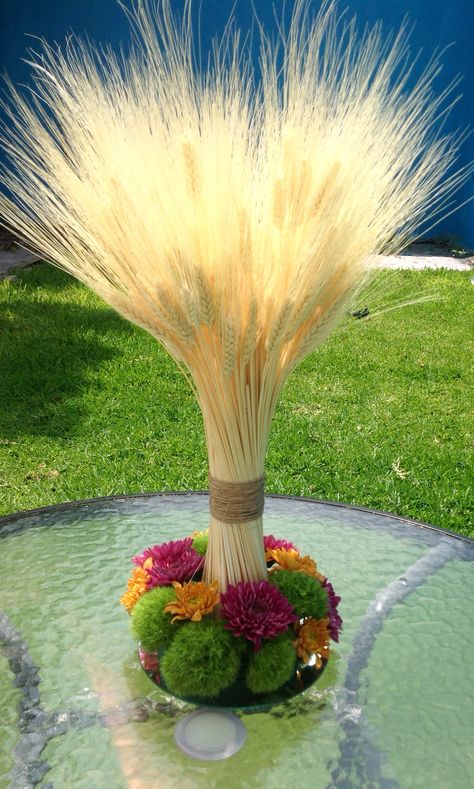 Espigas de trigo naturales y base de margaritas. Corpus Cristi, Celery, Dandelion, Fan, Plants, Flowers, Floral