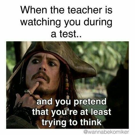 MEMES - EXAMS!! - Wattpad Student Life Funny, High School Memes, Exams Memes, Classroom Memes, Funny Quotes And Sayings, Studying Memes, Student Humor, School Jokes, Funny School Jokes