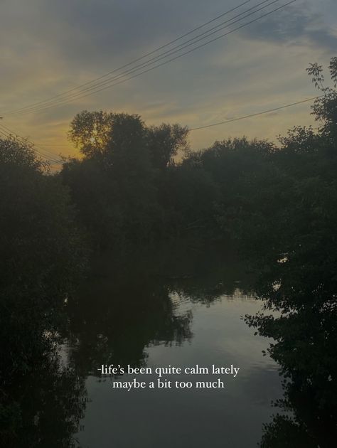 Quiet People Aesthetic, Quiet Life Aesthetic Wallpaper, Quiet Life Quotes Peace, Quiet Life Aesthetic Quotes, Quiet Nights Quotes, Quiet Night Aesthetic, Peace And Calm Aesthetic, Calm Person Aesthetic, Tranquility Aesthetic Quotes