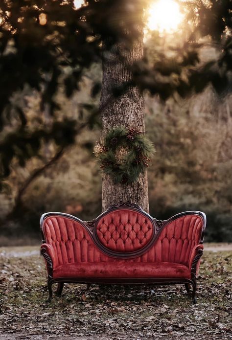 Red Couch Christmas Photoshoot, Vintage Couch Christmas Photoshoot, Vintage Sofa Photoshoot, Antique Chair Photoshoot, Antique Couch Photoshoot, Velvet Chair Photoshoot, Velvet Couch Photoshoot, Red Couch Photoshoot, Vintage Chair Photoshoot