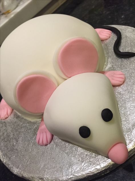 White mouse birthday cake Goofy Cake, Mouse Birthday Cake, Bug Cake, My Little Pony Cake, Little Pony Cake, Pony Cake, White Mouse, Funny Birthday Cakes, Dog Cakes