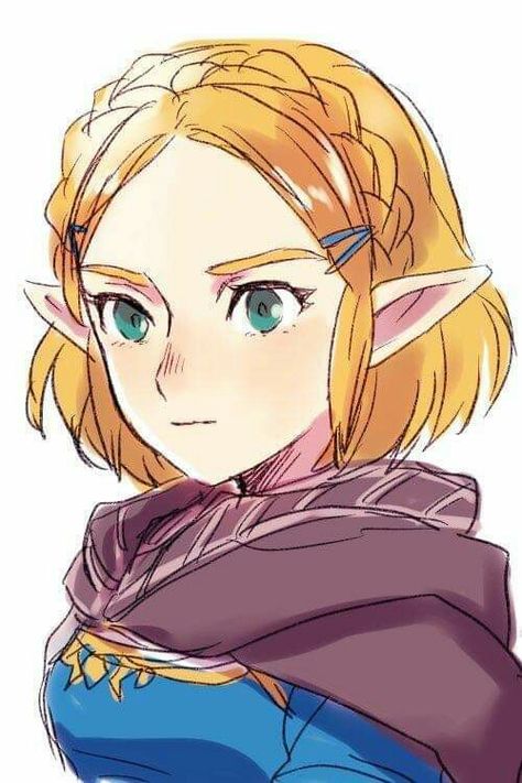 Princess Zelda Art, Zelda Drawing, Zelda Anime, Princesa Zelda, Botw Zelda, Zelda Art, Legend Of Zelda Breath, Zelda Breath, Anime Drawing