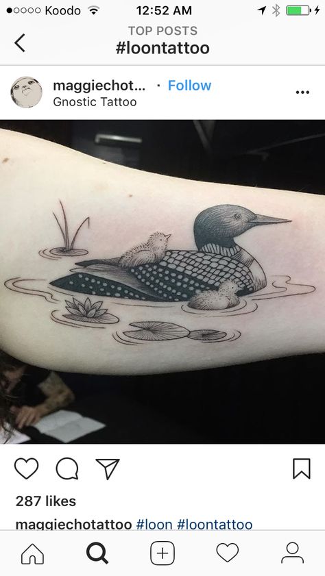 Loon Tattoos For Women, Loon Bird Tattoo, Loon Tattoo Ideas Design, Loon Drawings, Loon Tattoo Ideas, Mn Tattoo, Bird Outline Tattoo, Loon Tattoo, Papa Tattoo