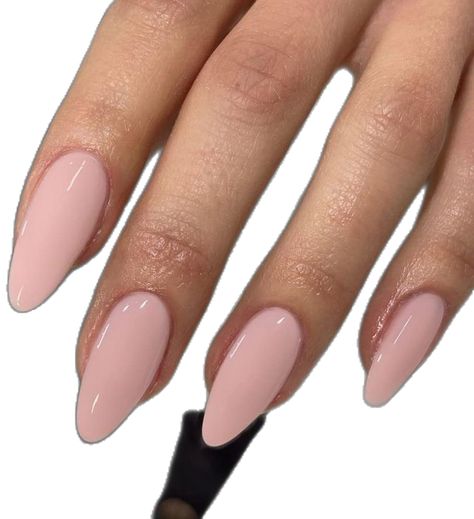 Acrylic Nails Kit, Women Nail Art, Medium Stiletto, Pink Press On Nails, Nails Kit, Press On Nails Medium, Acrylic Nail Kit, Nails Medium, Nail Kit