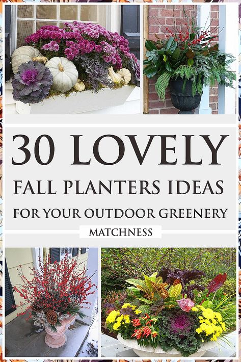 Christmas Container Gardening - Stay on top of the latest and greatest deal. Click to visit NOW! Fall Planters Outdoor, Fall Containers Planters, Fall Potted Plants, Shade Plants Container, Full Sun Container Plants, Fall Container Plants, Fall Pots, Plant Decor Ideas, Outdoor Greenery