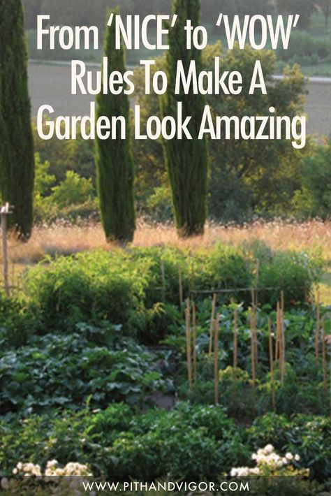 Amazing Gardens Landscaping, Lush Vegetable Garden, Picking Garden Design, Basic Landscape Design, Beautiful Kitchen Garden, Beautiful Vegetable Garden Inspiration, Open Garden Ideas, Garden Zoning Ideas, Farm Garden Ideas Landscaping