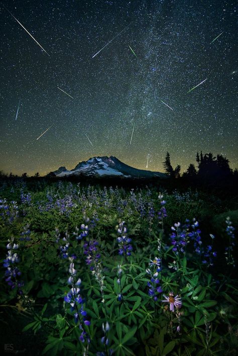 Perseid Meteor Shower, Photography Inspiration Nature, Into The West, Belle Nature, Mt Hood, Meteor Shower, To Infinity And Beyond, Chiaroscuro, The Night Sky