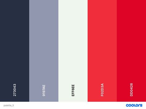 Red Color Palettes, Blue Pallets, Silver Color Palette, Simple Web Design, Palette Projects, Red Color Schemes, Red Colour Palette, Brand Ideas, Mirror Color