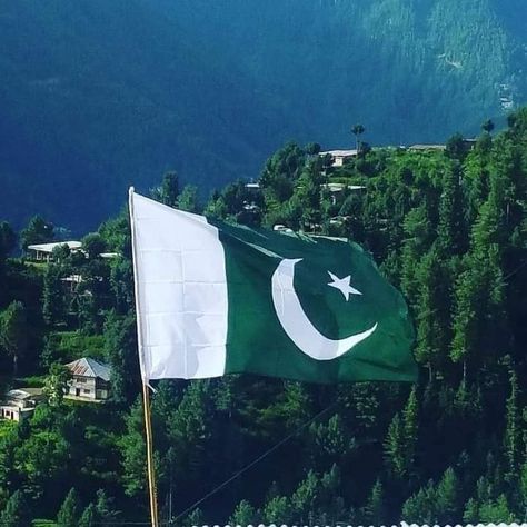 Pakistan Flag Aesthetic, Pakistan Flag Images, Pakistan Wallpaper, Flip Books Art, Imran Khan Pic, Flag Aesthetic, Imran Khan Photos, Drawing Room Ceiling Design, Flag Images