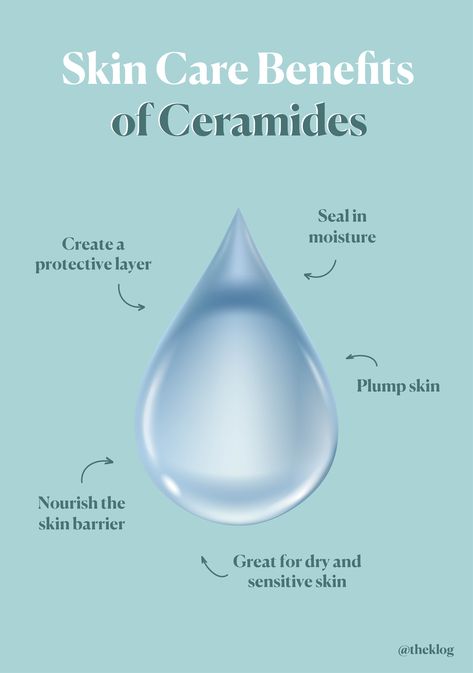 Hydrated Skin Tips, Product Benefits Design, Ceramides Benefits, Ceramides Skin Care, Skincare Content, Skincare Steps, Skin Care Ingredients, Skin Facts, Skin Care Business