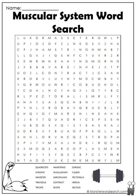 awesome Muscular System Word Search Muscular System Worksheet, Cell Organelles Activities, Muscular System Activities, Skeleton System, Reading Strategies Posters, Human Skeleton Anatomy, Nursing Home Activities, Radiology Tech, Nursing Student Tips